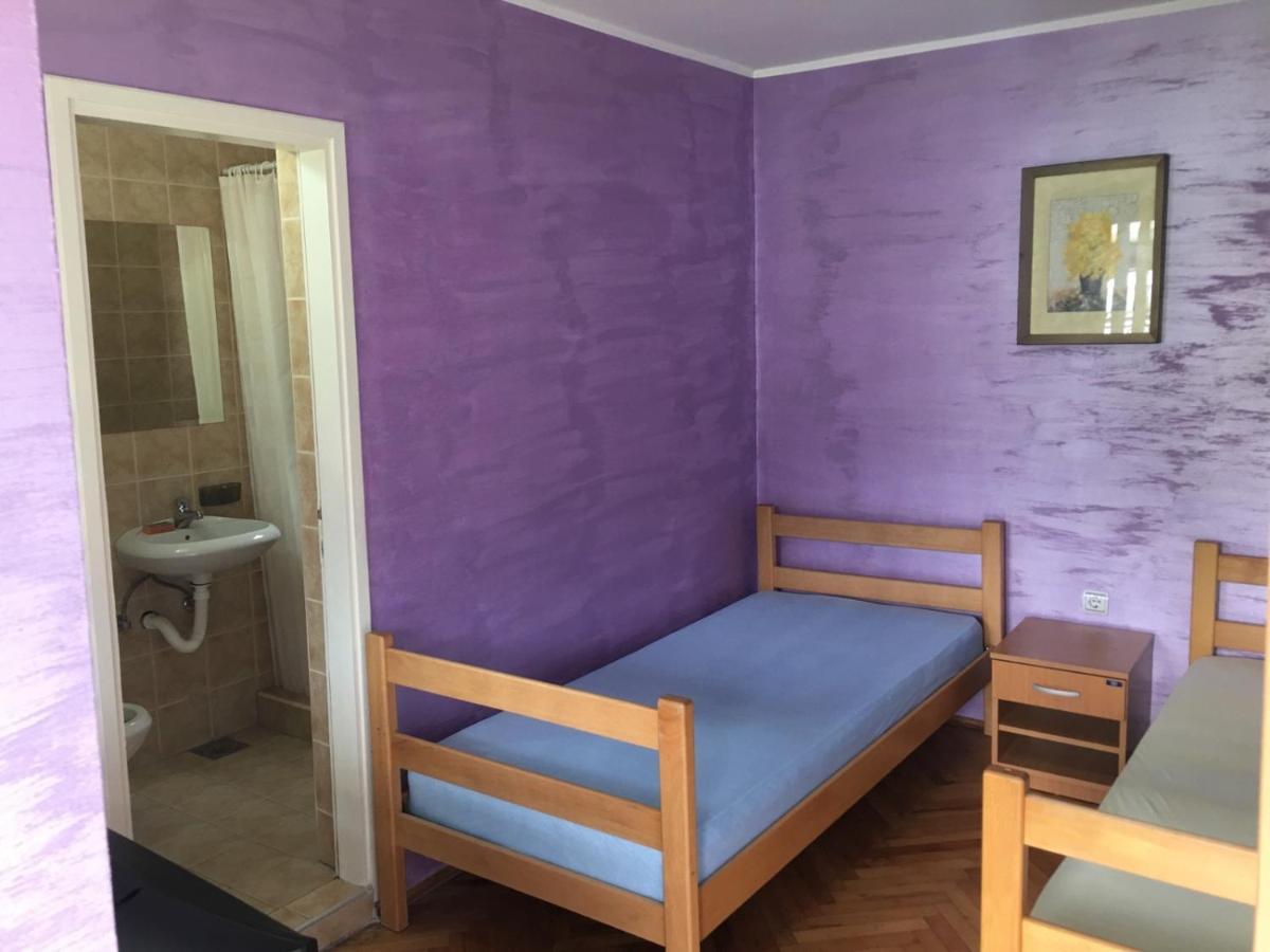 Banja Gornja Trepca-Smestaj Grof المظهر الخارجي الصورة